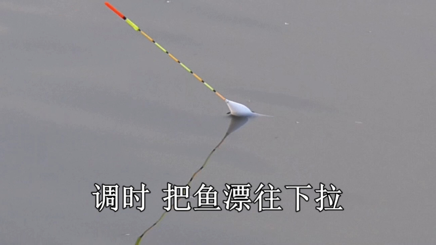 讲解野钓调漂技巧,学会就能提升渔获!