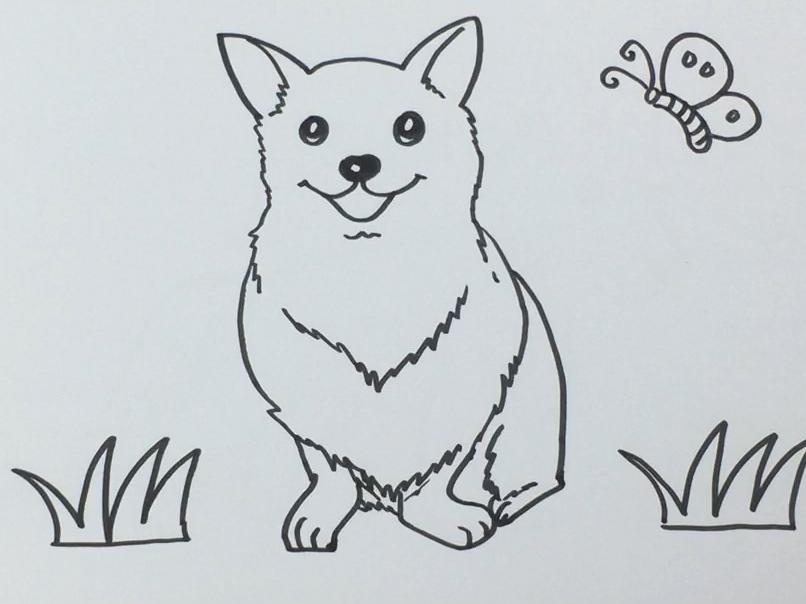 「手工」简笔画柯基 简单好学