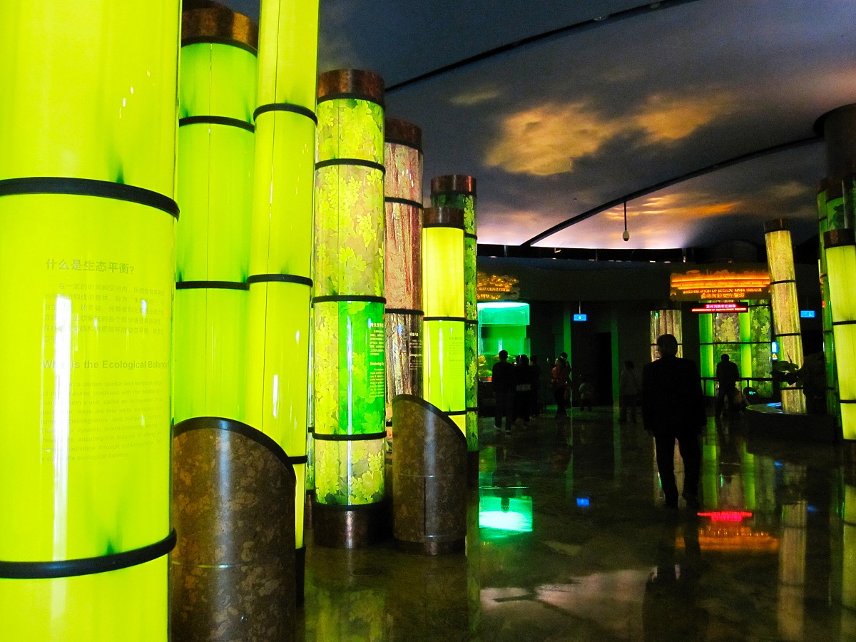 人与自然的和谐共处：关于人的自然化和自然的人化