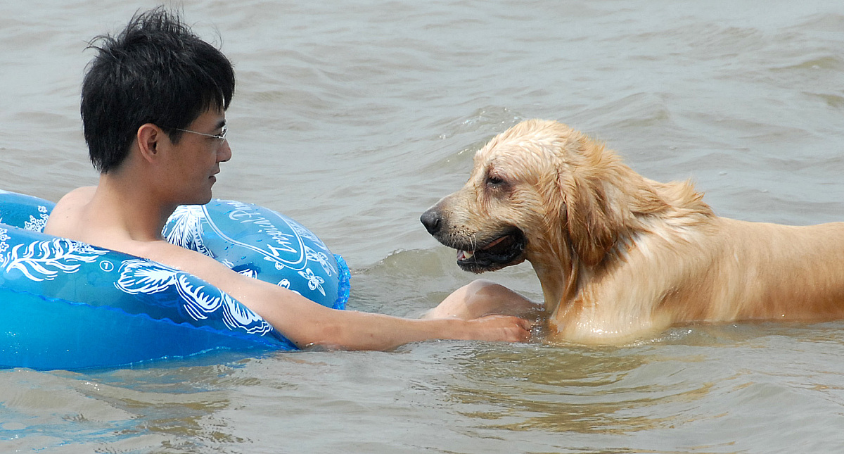 烤鸭能带上地铁吗