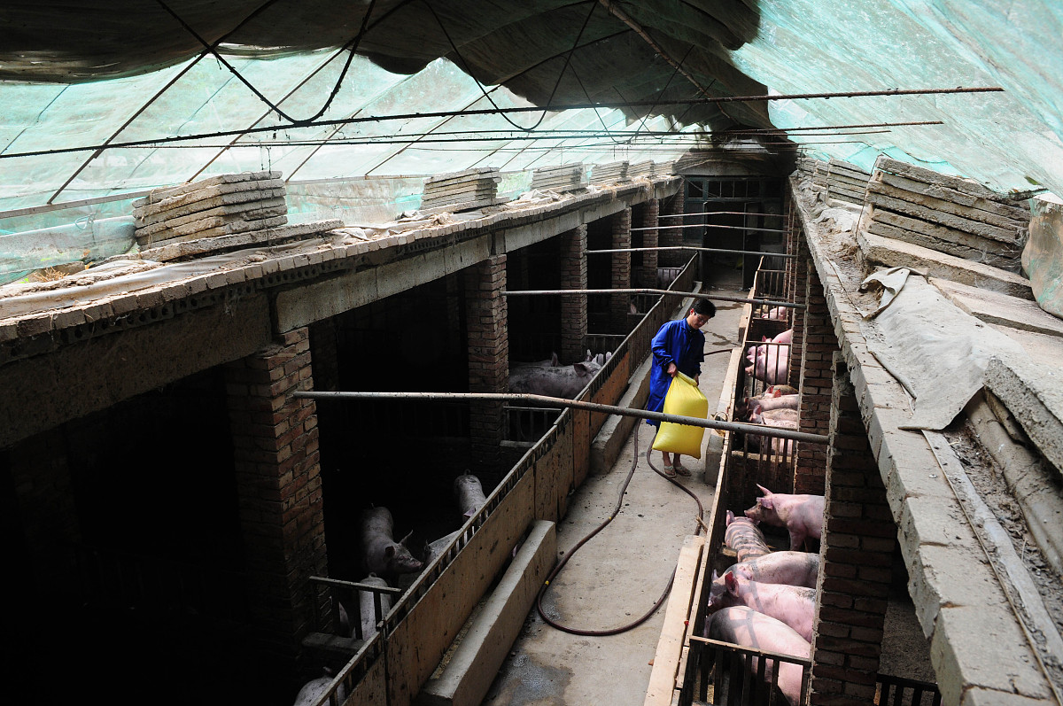 山东港口工程高级技工学校招生啦！入学条件了解一下