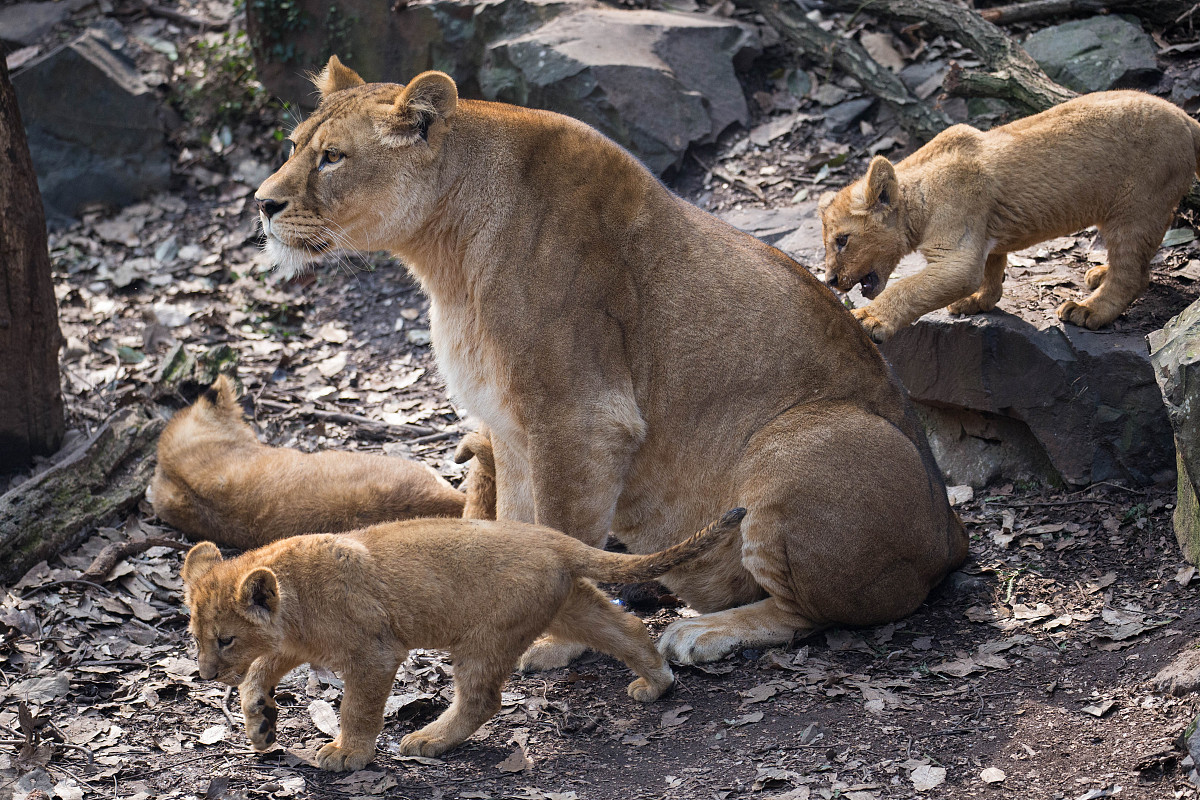 写个感人的剧本