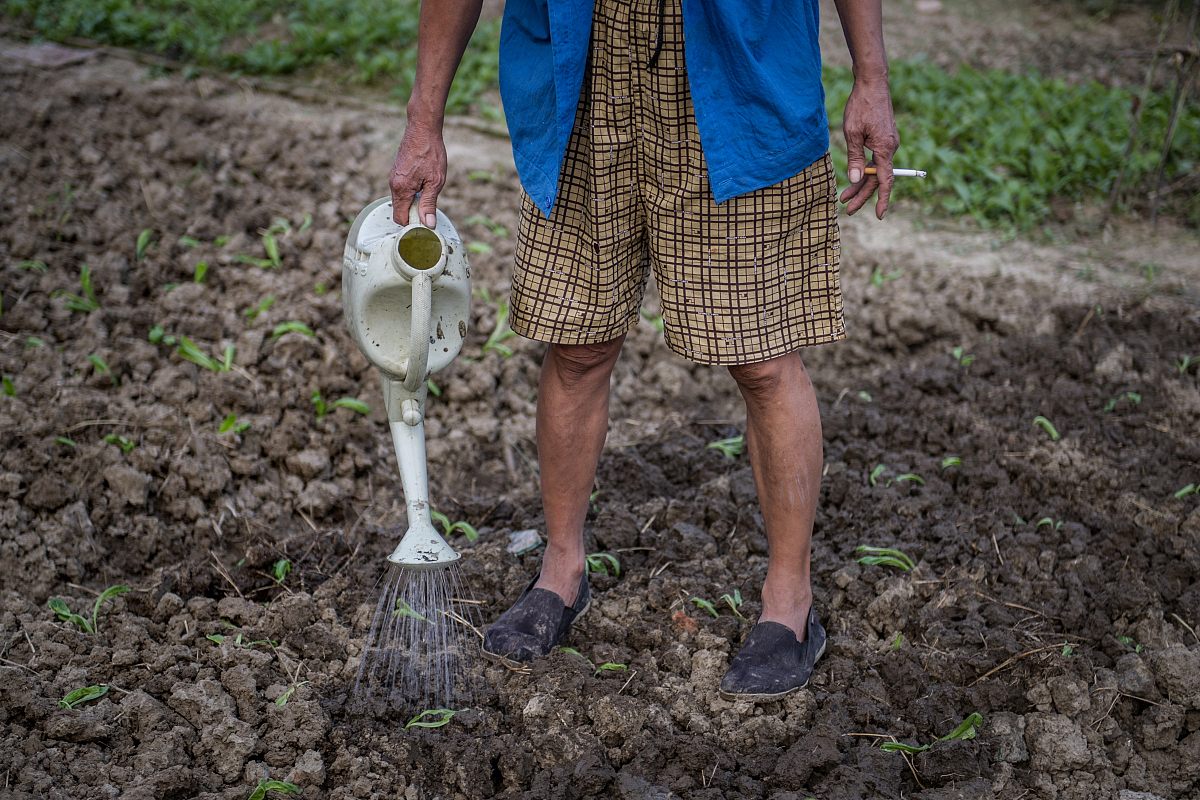 勤劳努力的回报：生活不会辜负你