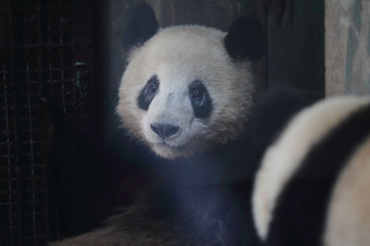 还不错但是我需要更多更搞笑的文案再来10条