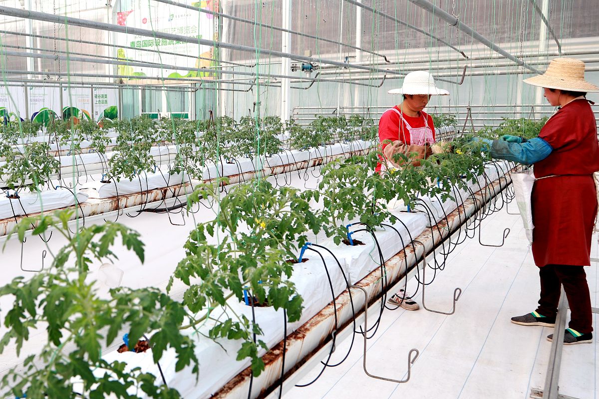 天水农业学校果蔬花卉生产技术专业未来前景好不好？