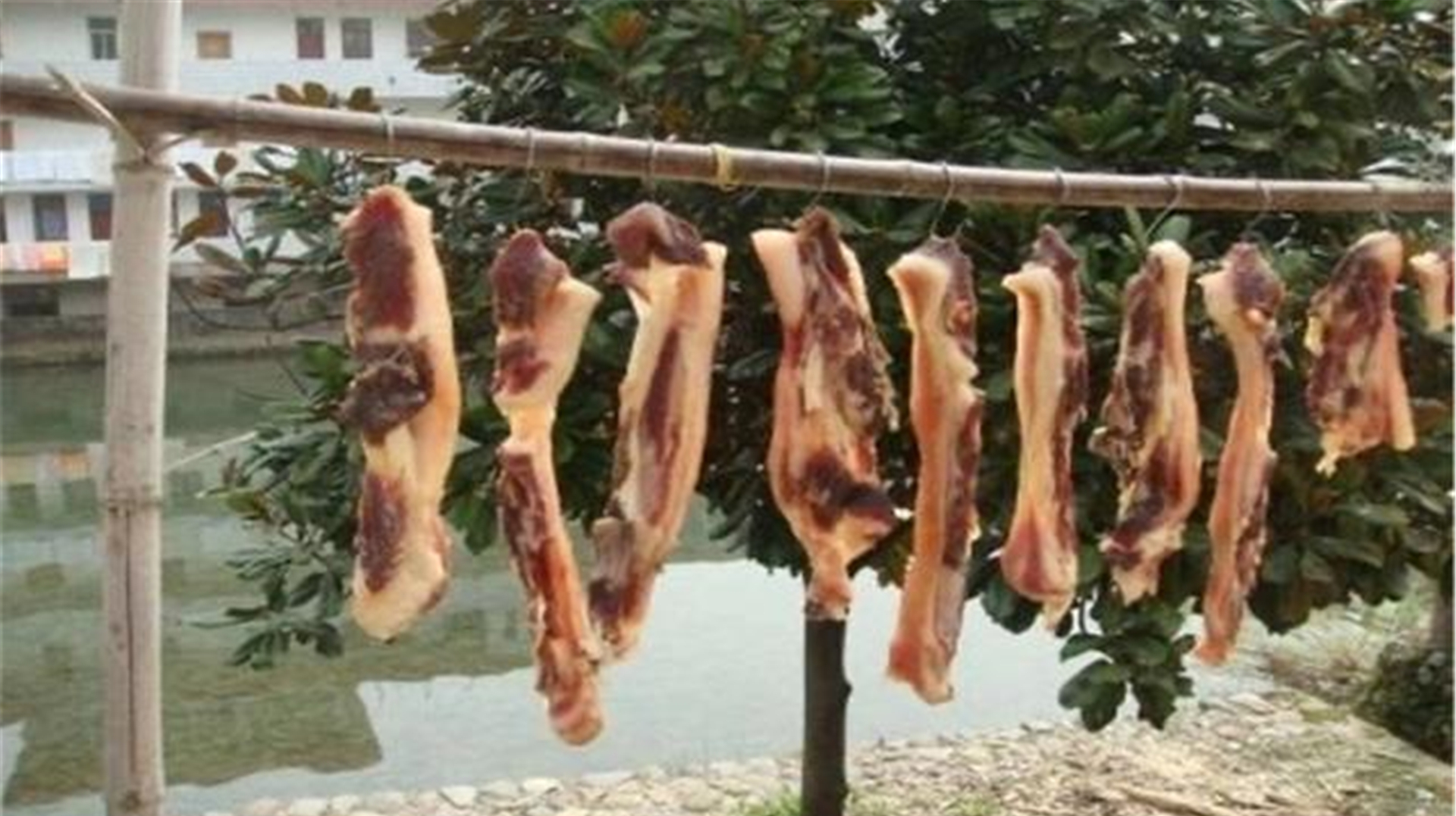 这才是腊肉最肥而不腻的做法,传统做法简单易保存,放一年不会坏