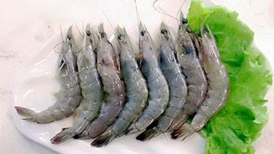 一分钟了解青虾