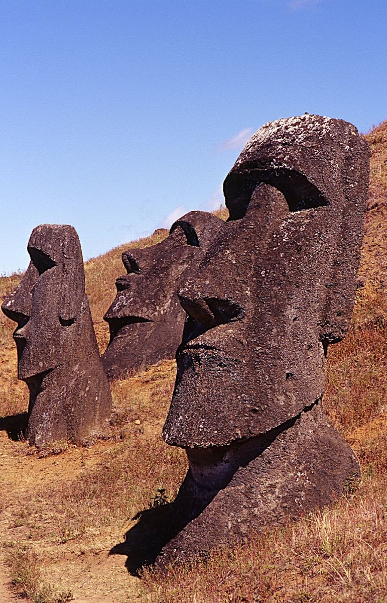 标题复活节岛的兴衰有什么教训与启示？