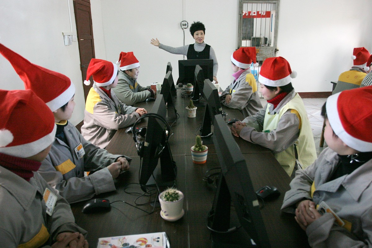 梦想与自由：赏析'我曾经梦想，飞去远方。我曾经自由，像风一样流浪。'