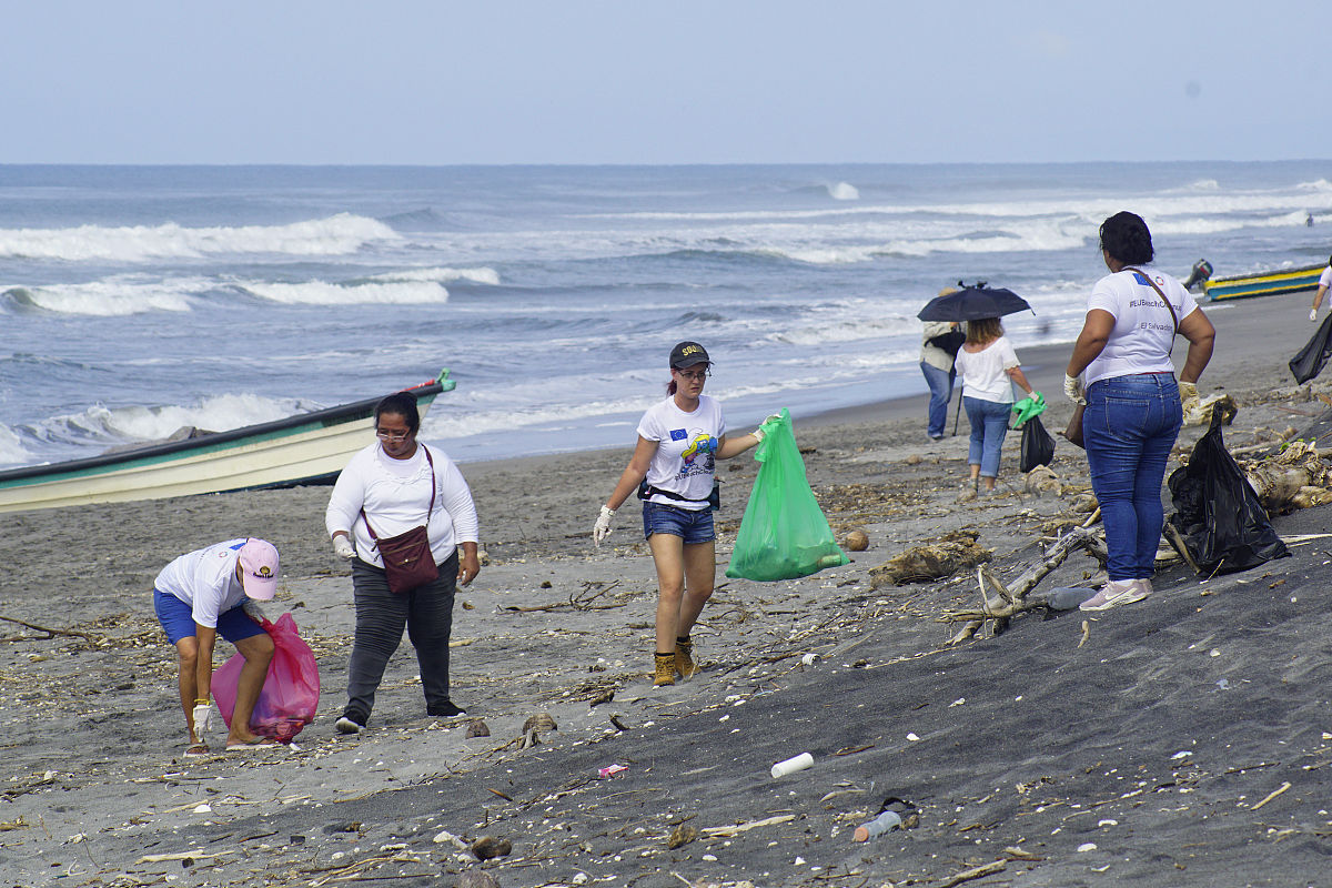 大学团支部组织建设：提高组织力、凝聚力和影响力