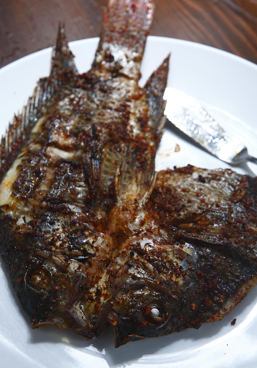 我现在有一家餐饮店做烤鱼的引流套餐是49元位仅限三天现在打算利用即将到来的五一假期开张还赠送啤酒免费畅饮请利用上述信息加上你字写出20条宣传文案