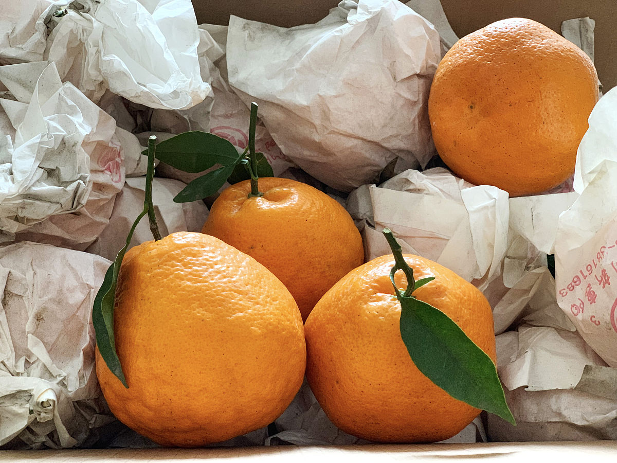 四川农村电气技术专业中专中职学校推荐