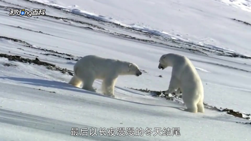 [图]「秒懂百科」一分钟了解冰冻星球