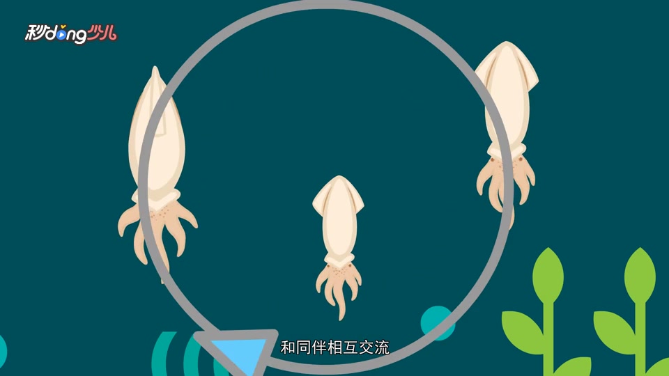洪堡鱿鱼为什么被叫做“红色魔鬼”?
