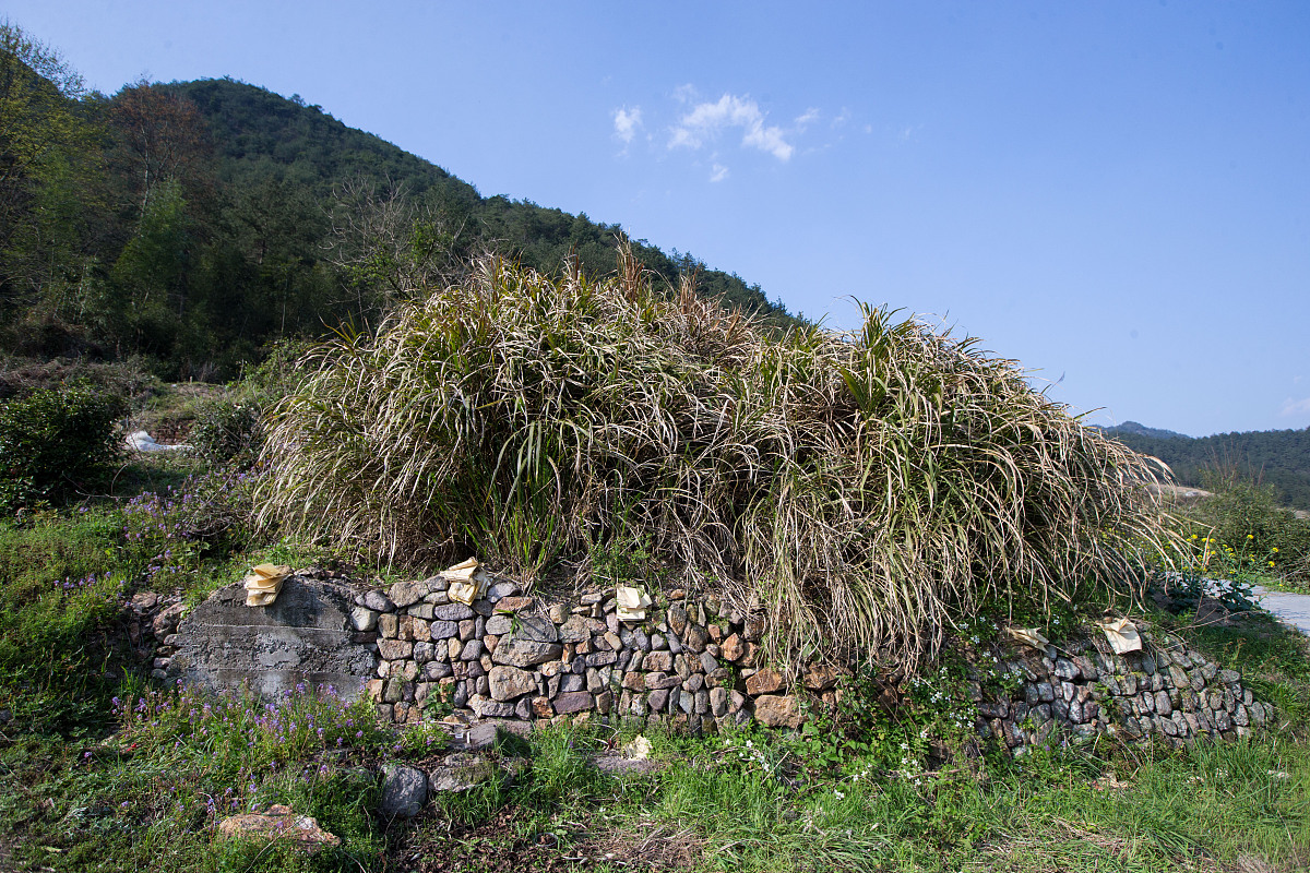 帮我写清明节请假条