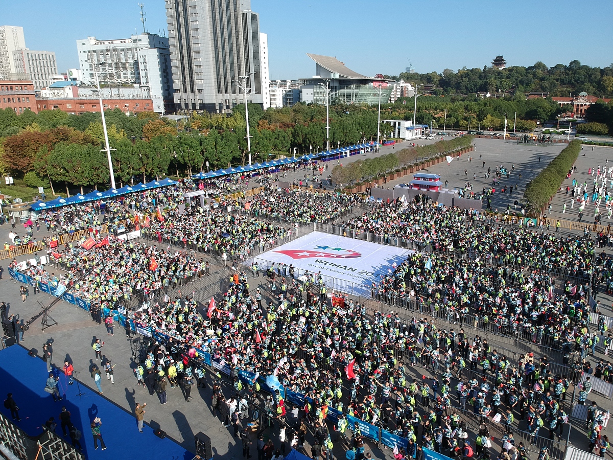 趣味脑筋急转弯：兔子多少钱？