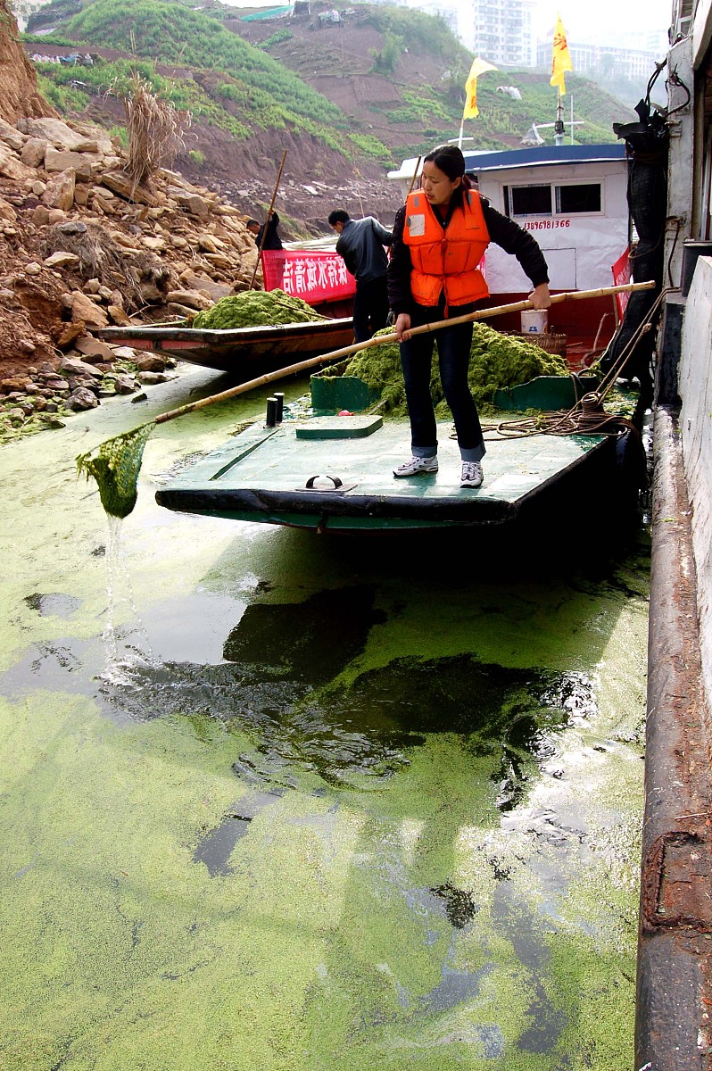 重庆中专学校读什么专业好？热门专业推荐及选择建议