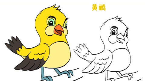 简笔画大全,黄鹂简笔画