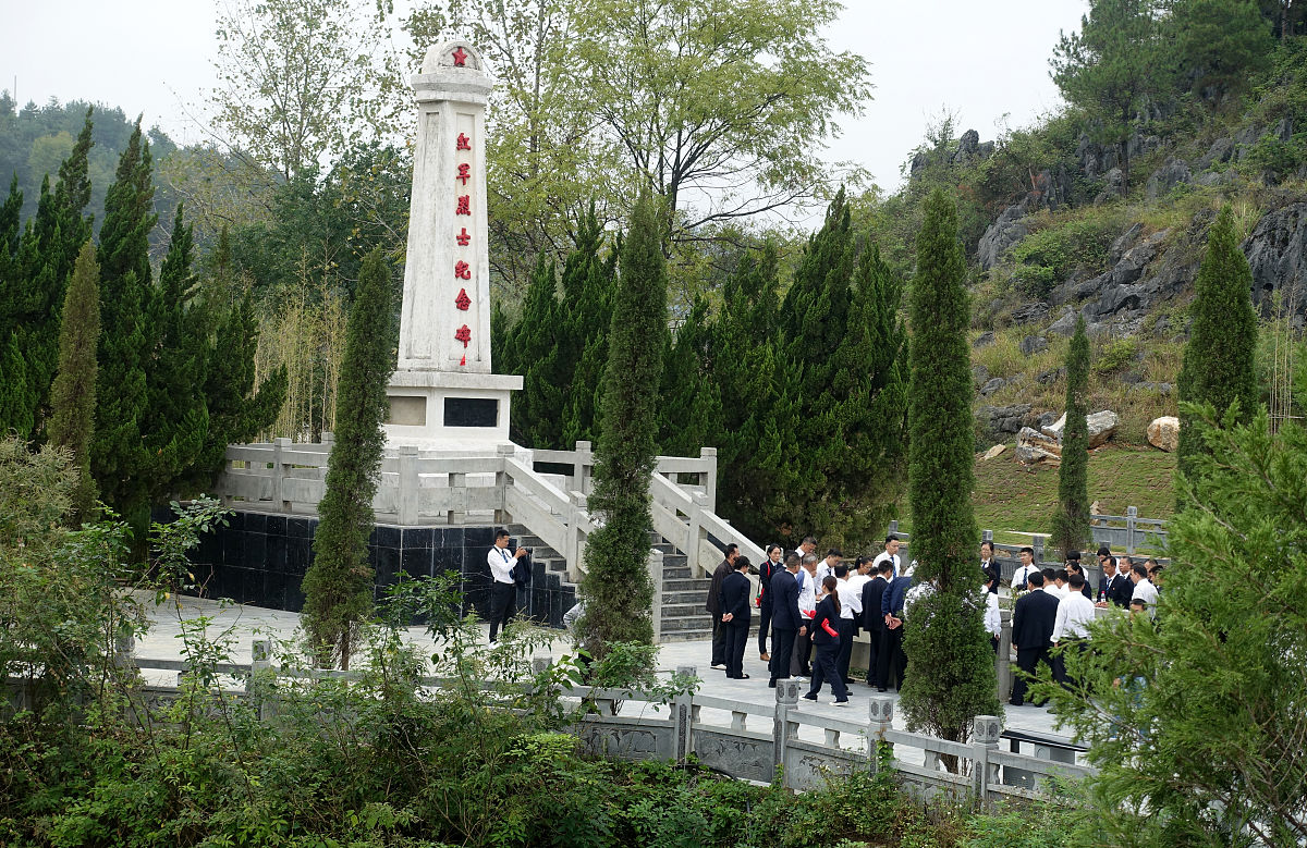 青山处处埋忠骨扩写第九自然段。