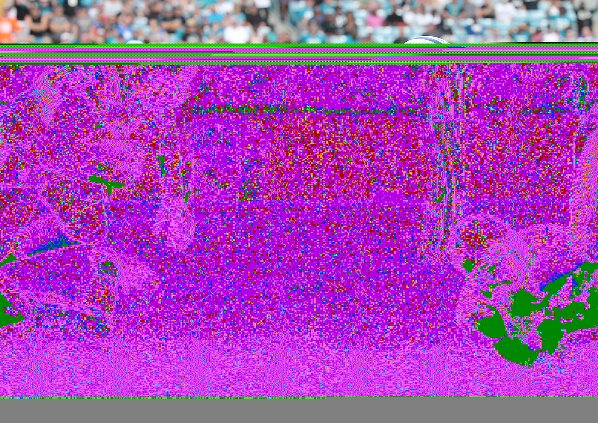 病理图像质量检测常用数据集：CAMELYON、TUPAC16、BACH、MoNuSeg 等