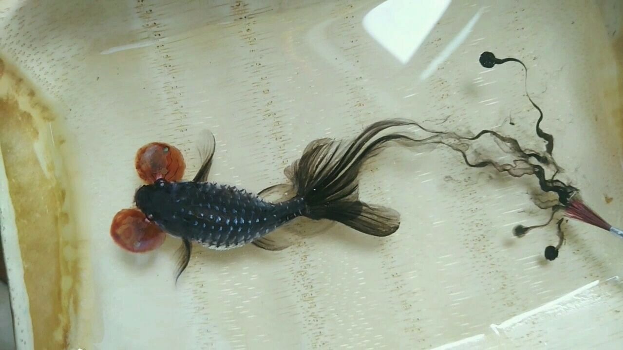 3D立体树脂画(墨染鱼)
