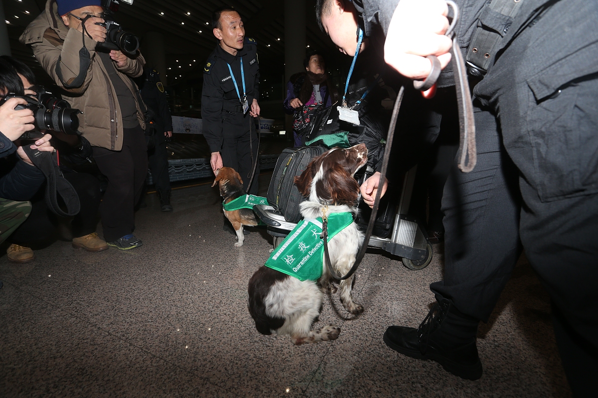 根据姓名 、学校：上海健康医学院、专业：卫生检验与检疫、目前打算的打算是考取公务员为条件做一份自我介绍