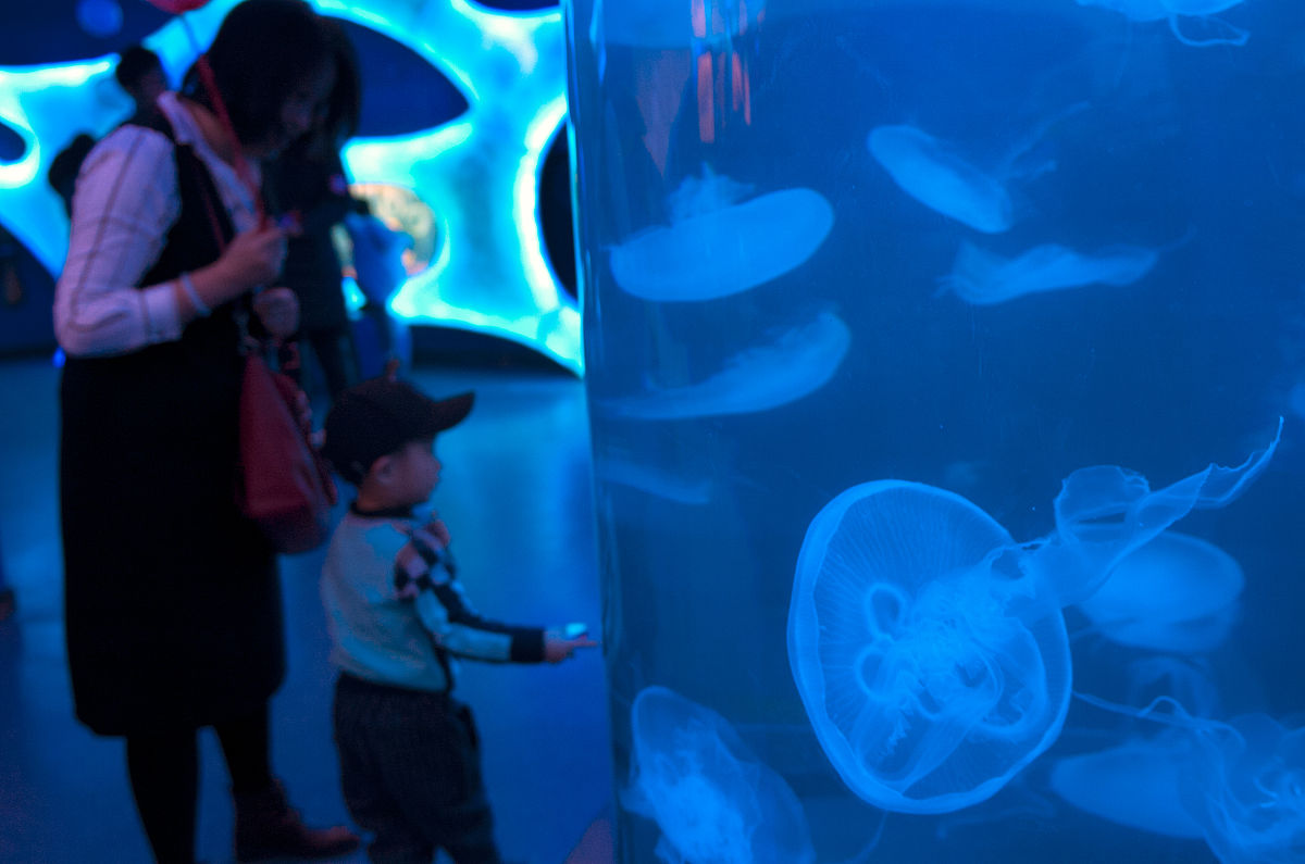 天津大学港口航道与海岸工程专业怎么样？ - 详细解读及未来发展趋势