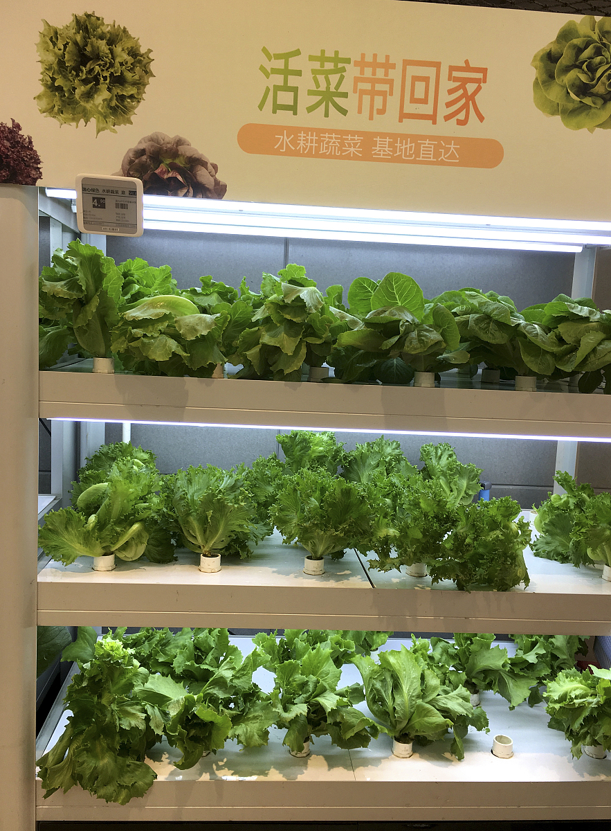 有没有10万块起步的生意