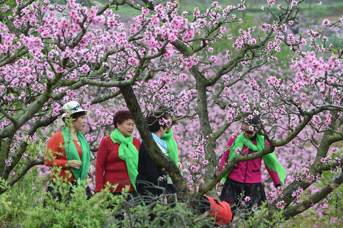 贵阳2023年好的轨道交通学校有哪些