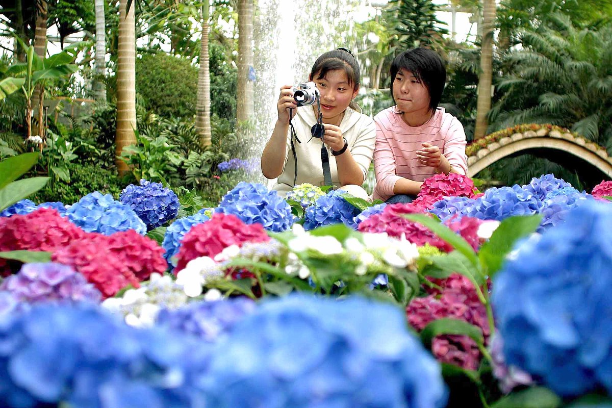 首届世界名花博览会各国名花本周起渐入佳期.2004年4月21日,聚焦花海.