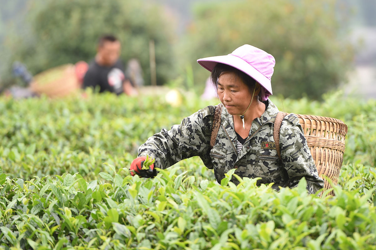 2019年遵义铁路工程学校招生怎样