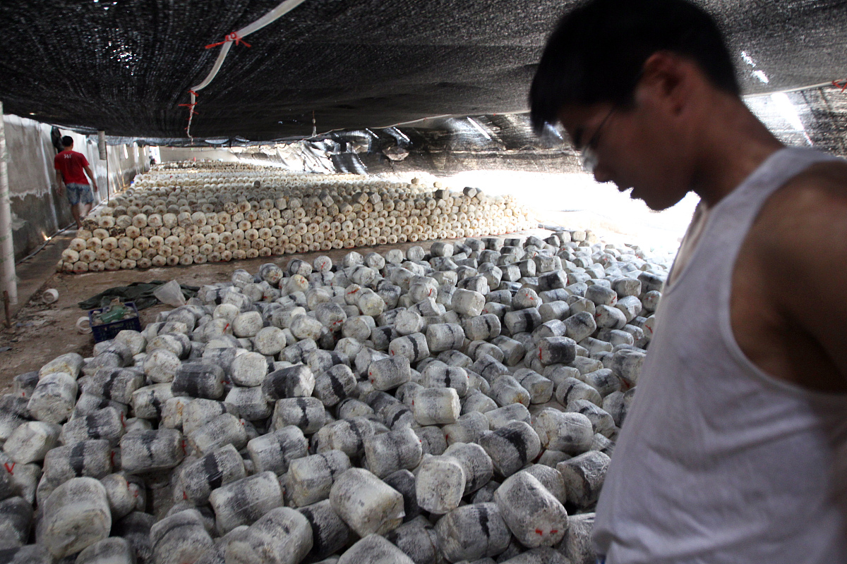 2020年黑龙江农业经济职业学院招生简章