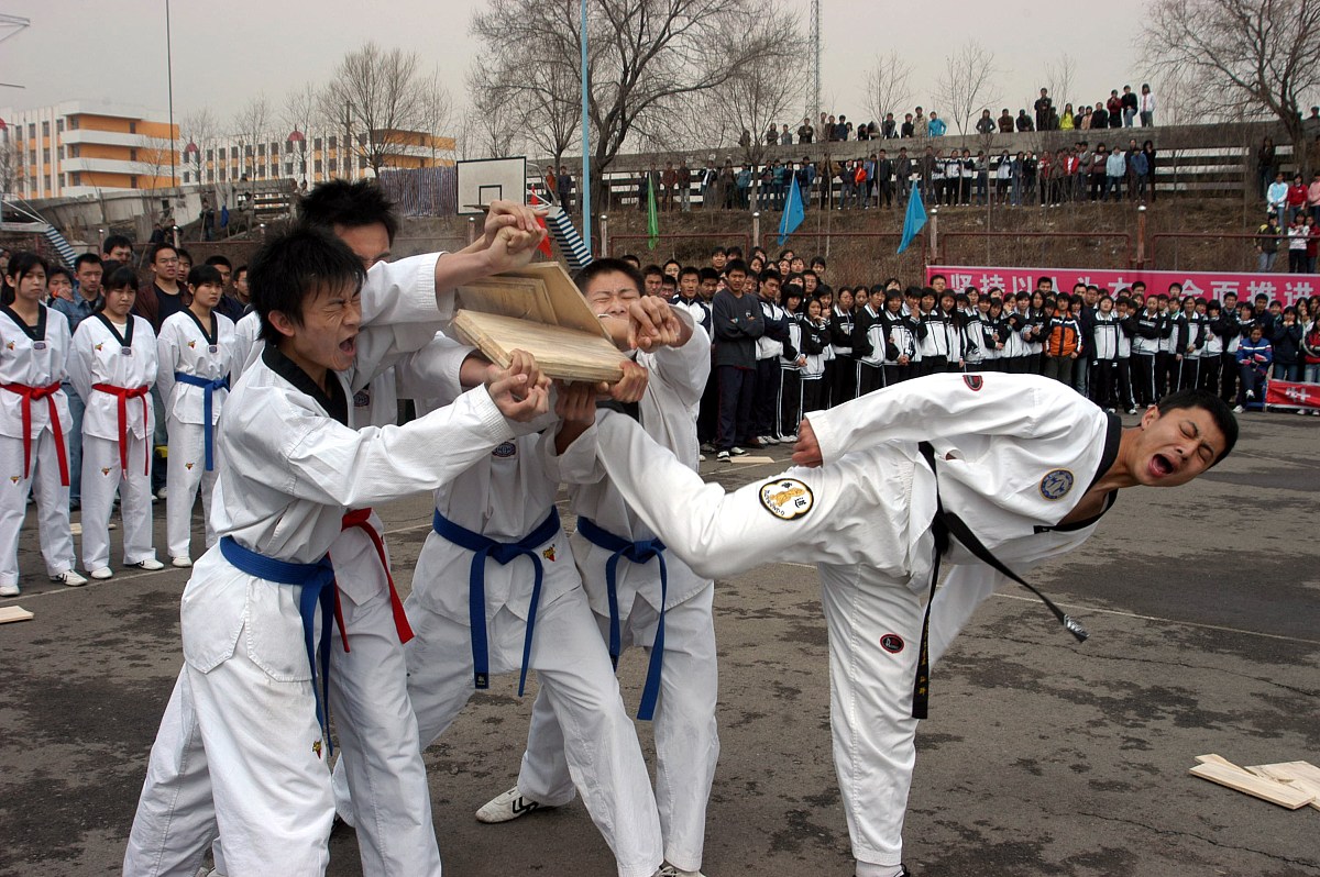 衡水衡沧影视武术艺术学校2023年有哪些专业