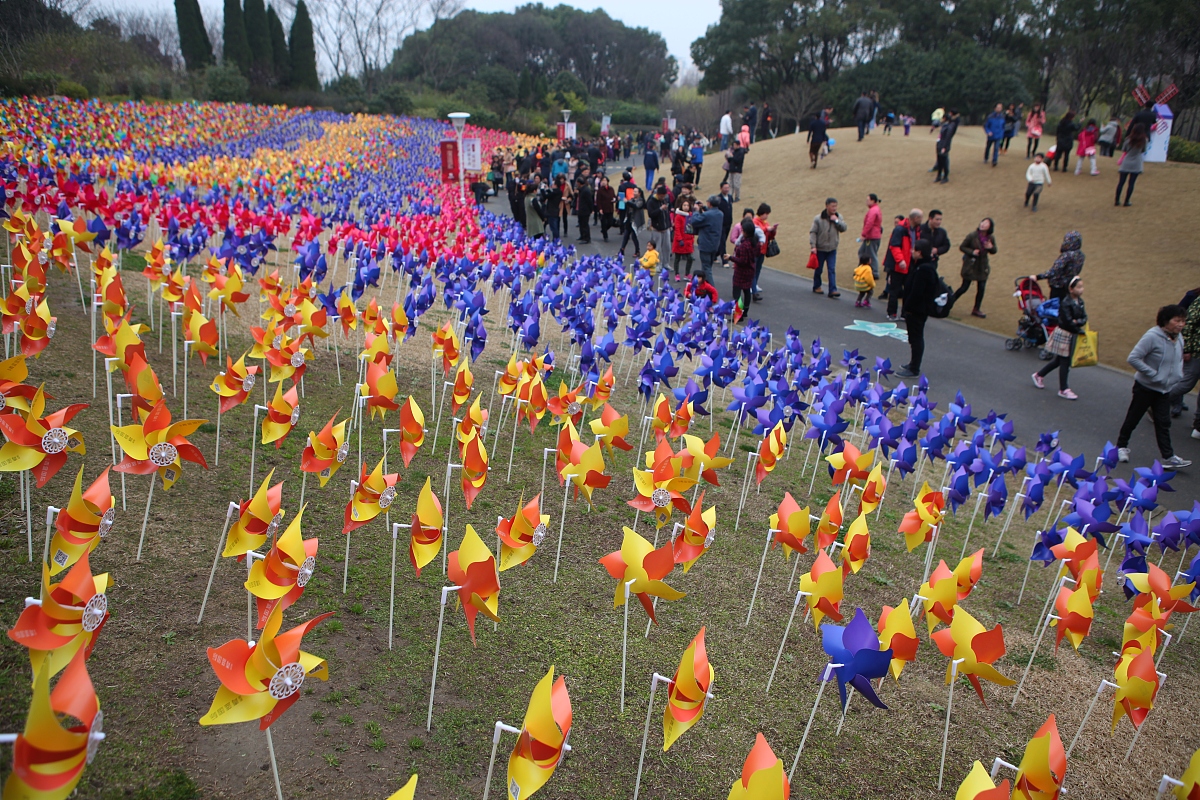2015年3月15日,上海,为了配合郁金香花展,主办方在公园里一个小山坡上