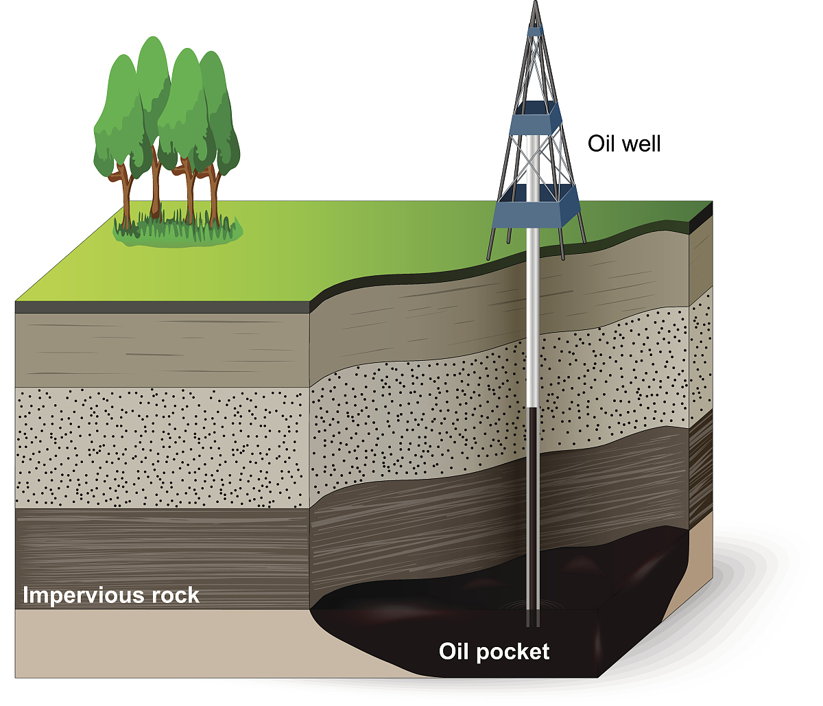 声波测井技术在水平井生产测井解释中的应用