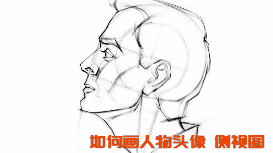 如何画人物头像 侧视图 从侧面很难治根据轮廓准确画出面部特征