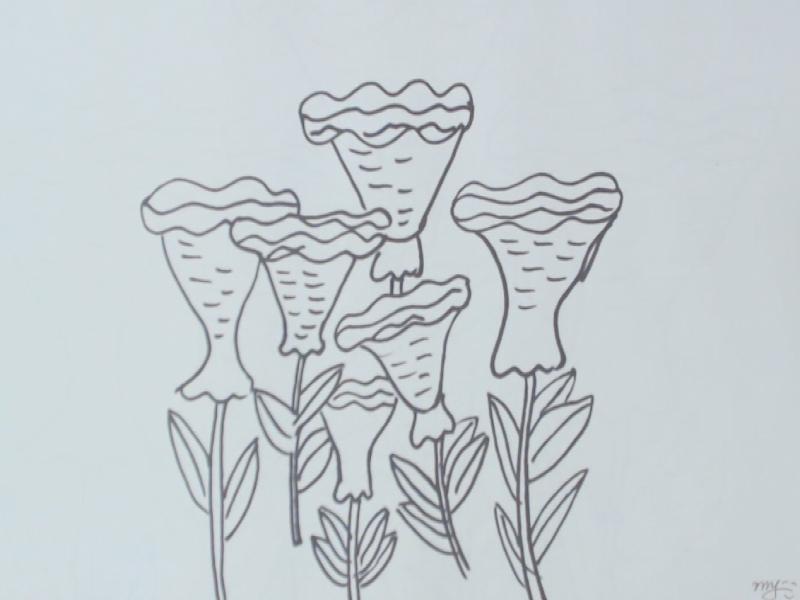 简笔画鸡冠花轻松好画