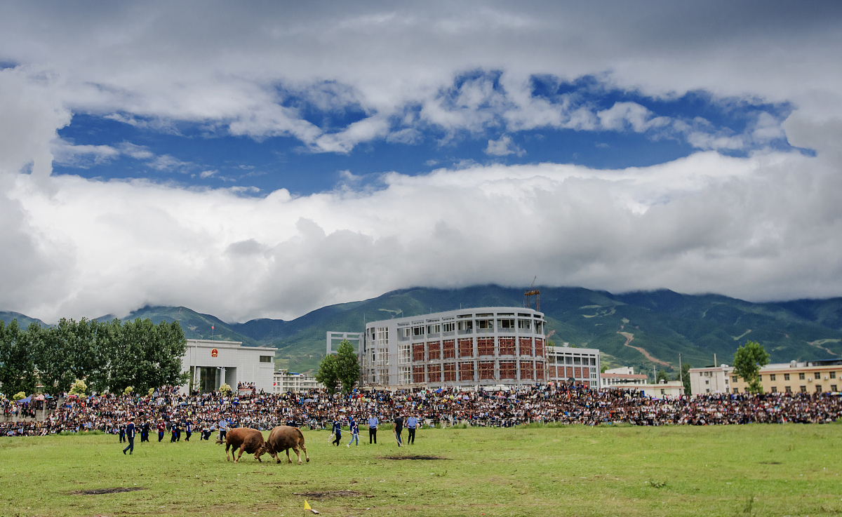 彝良县职业中学官方网站_网址