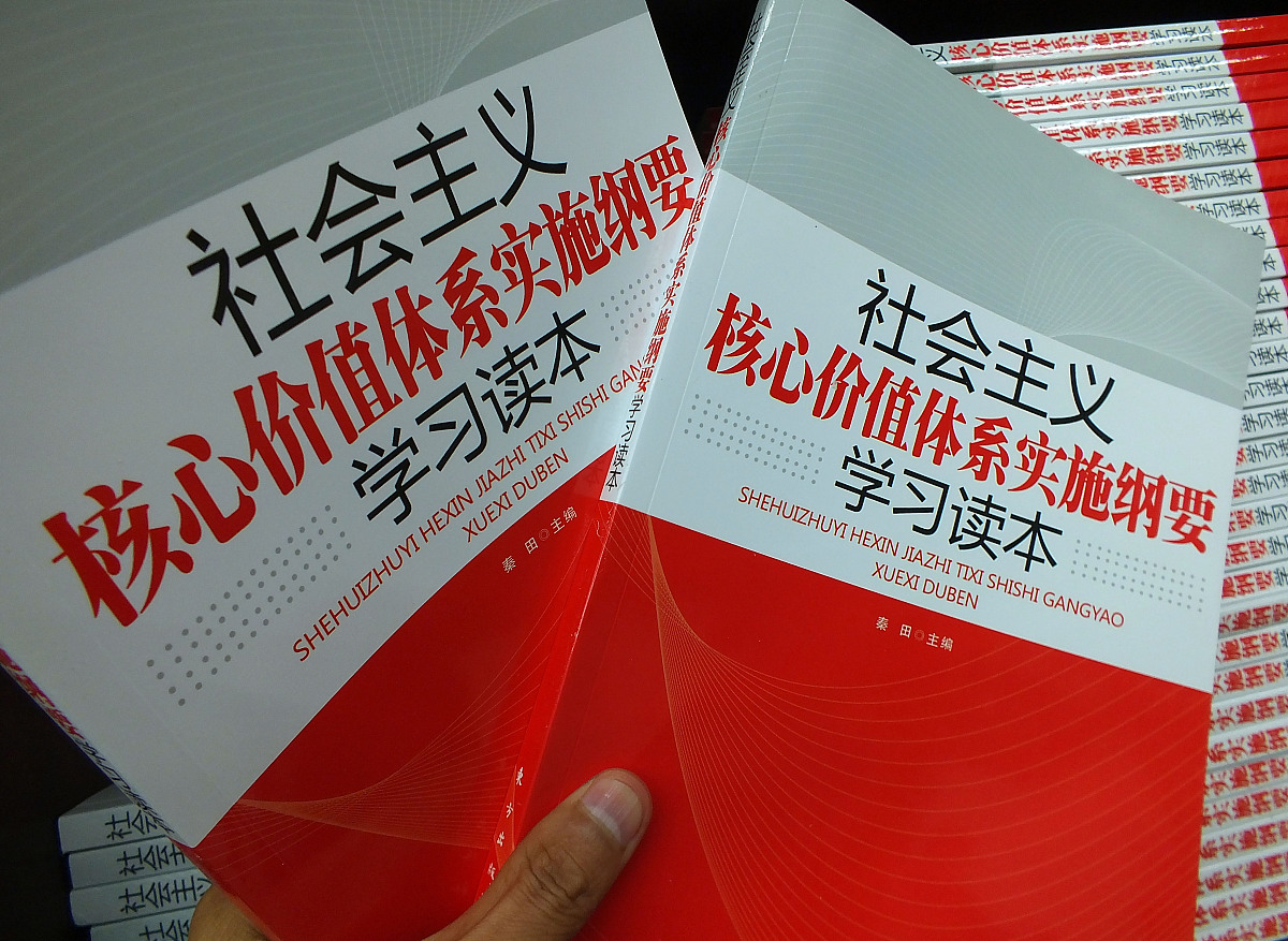 XX国家社会总资本再生产规律解析：产业结构演变与经济发展