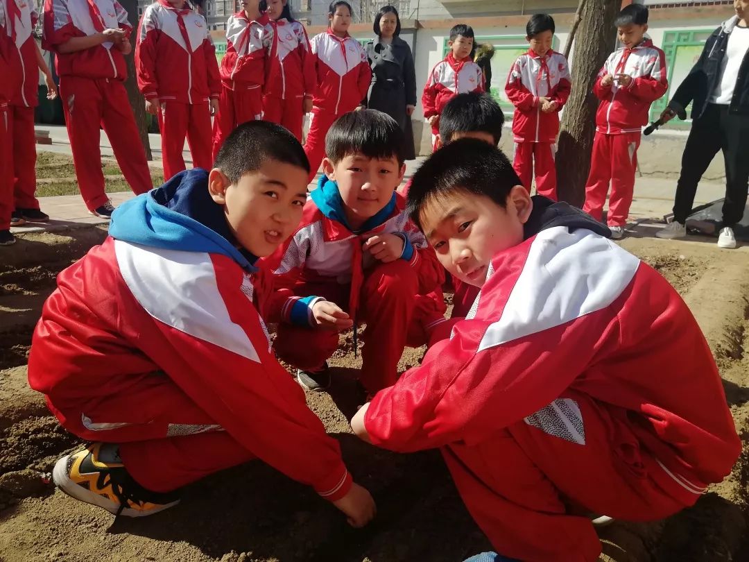 漷县镇中心小学红领巾实践基地体验农耕播种