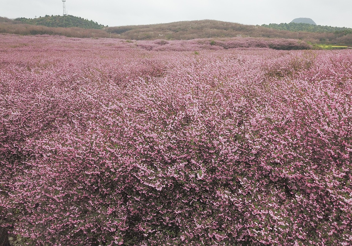 好听的网名推荐：中文英文结合，个性十足