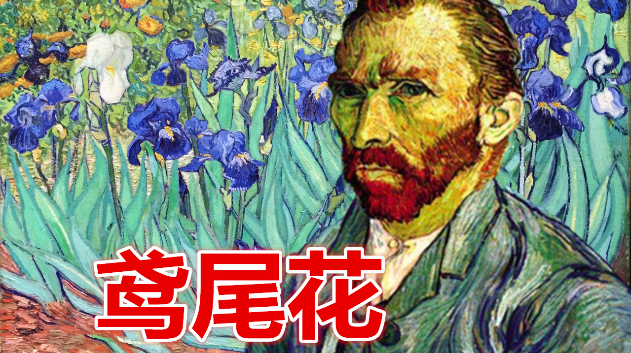 [图]花卉说第2期：梵高著名画作《鸢尾花》这种植物你养过吗？