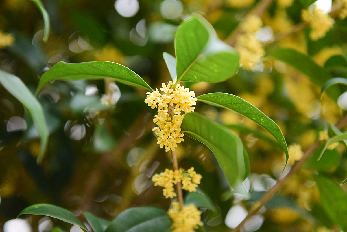 全国学子怎么选择铁路学校？用