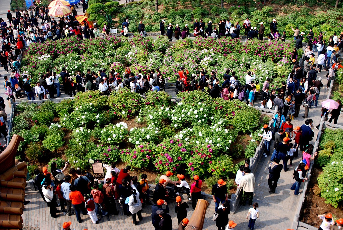 优秀实习生发言稿神州牡丹花会实习讲解岗位学到了与人沟通丰富阅历提升了自己与人交流的能力园区规章制度的人性化即将步入社会感谢老师给与机会感谢企业双选帮我修饰600字