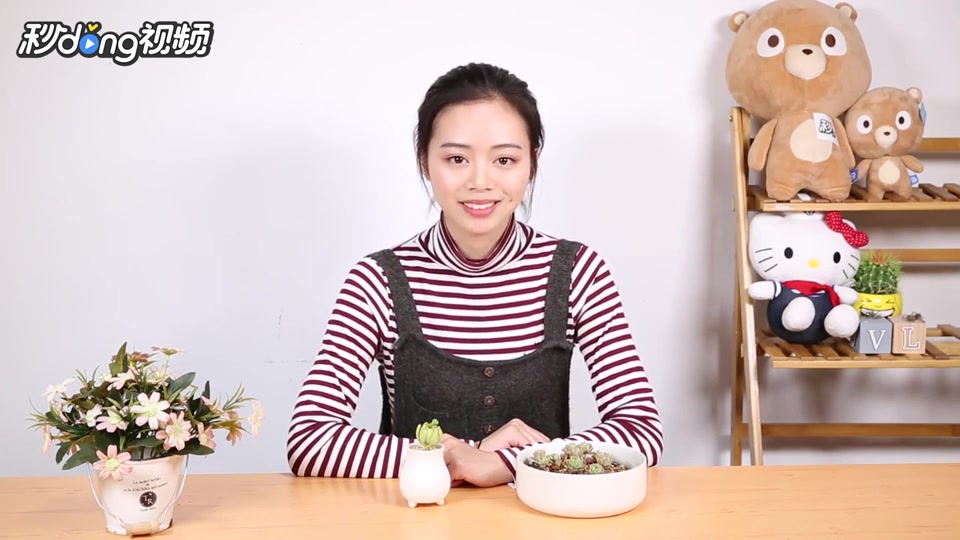 如何在家养殖多肉植物?