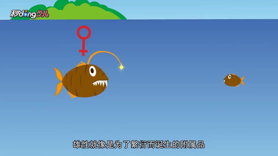 一分钟了解雄性灯笼鱼退化成睾丸之谜