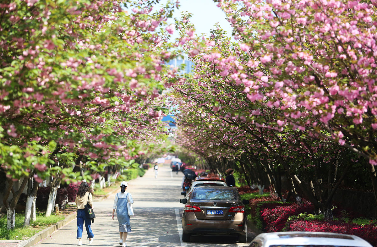 江西制造职业技术学院物流管理专业就业前景分析