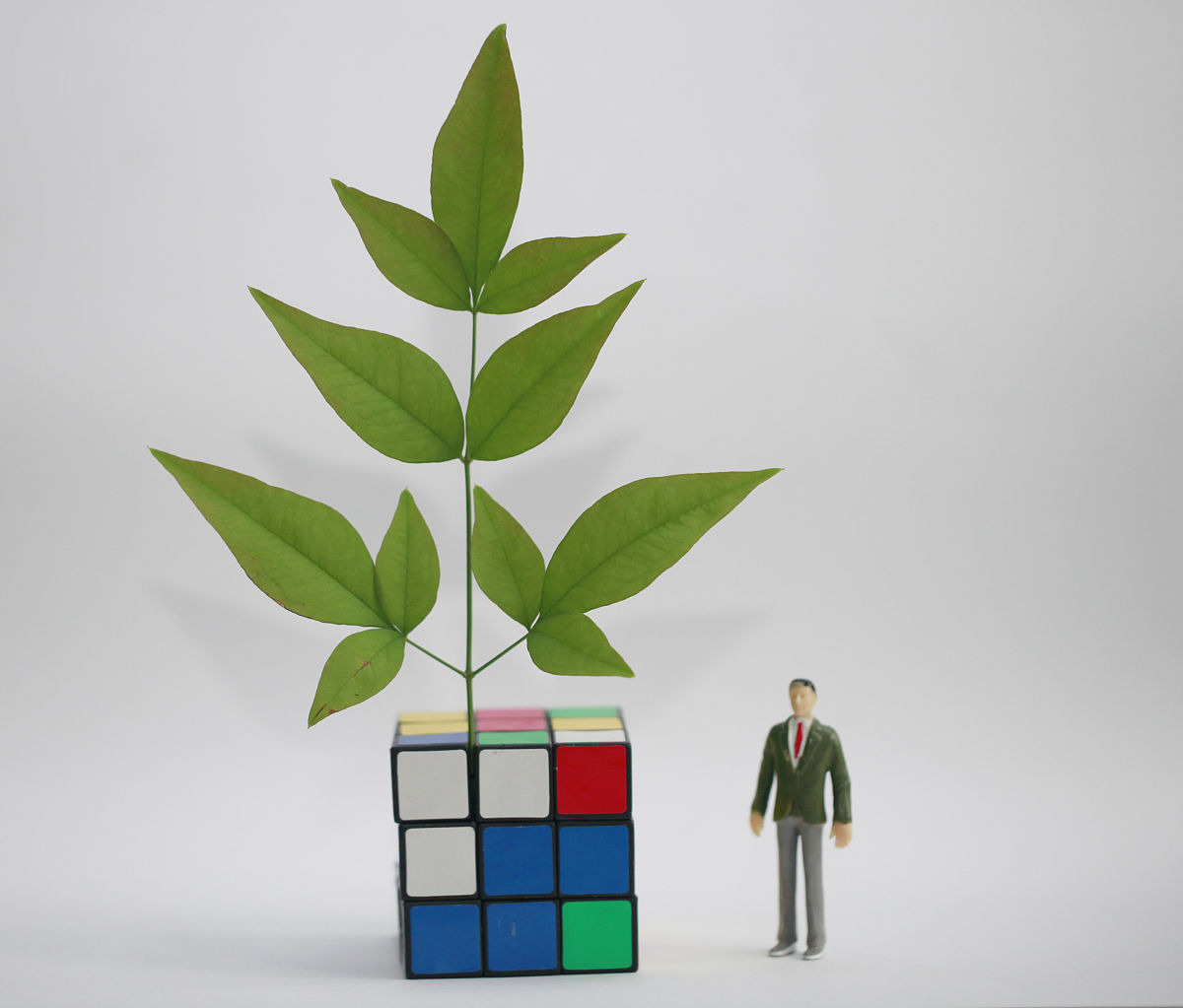 云南热带作物职业学院好不好？教学质量怎么样？