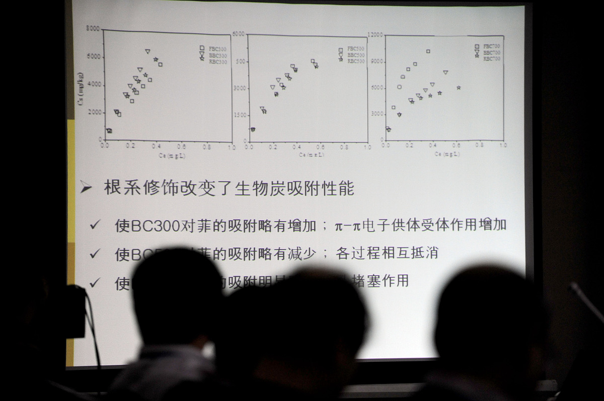 pH响应性胶束类型及原理 - 脂质、聚电解质、复合胶束和共聚物胶束