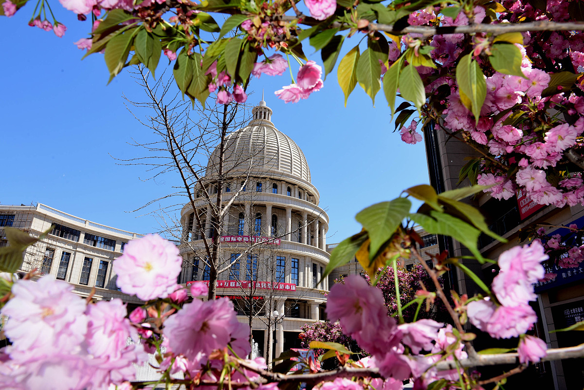 青岛炎黄职业培训学校2019年招生专业：会计、电商运营等